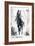 Rustic Stallion II-Ethan Harper-Framed Art Print