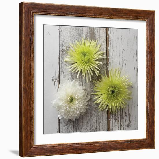 Rustic Trio-Camille Soulayrol-Framed Giclee Print