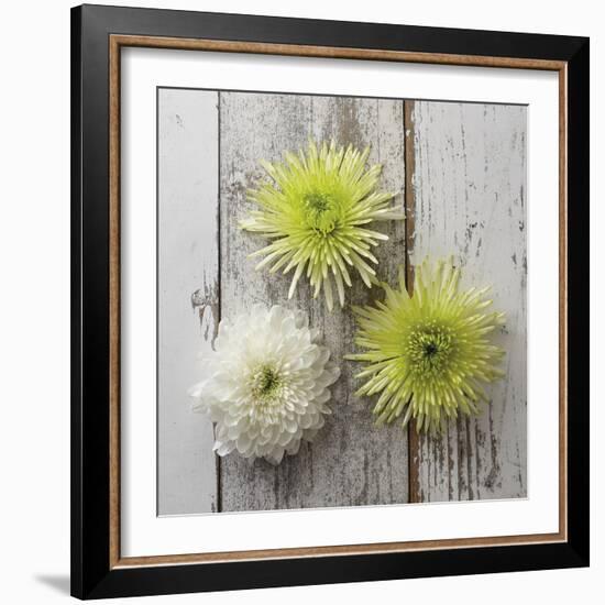 Rustic Trio-Camille Soulayrol-Framed Giclee Print