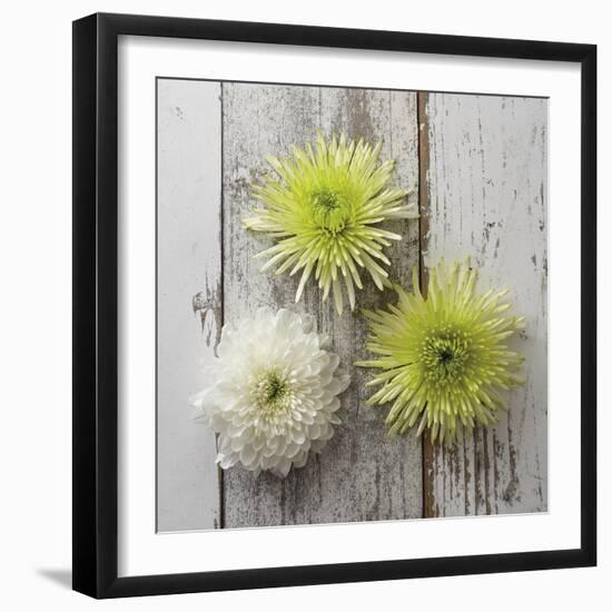 Rustic Trio-Camille Soulayrol-Framed Giclee Print