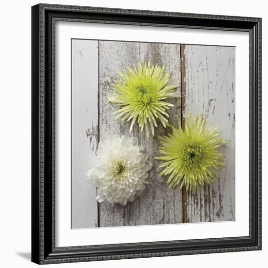 Rustic Trio-Camille Soulayrol-Framed Giclee Print