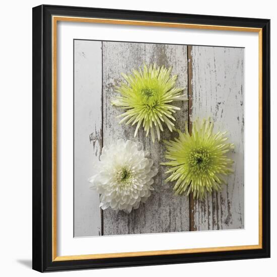 Rustic Trio-Camille Soulayrol-Framed Giclee Print