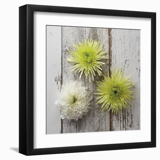 Rustic Trio-Camille Soulayrol-Framed Giclee Print