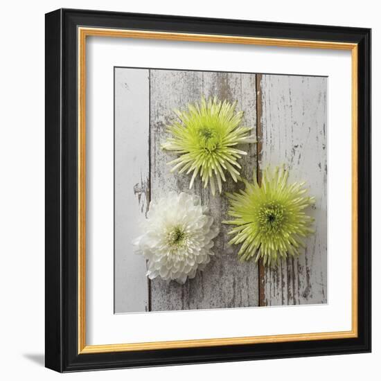 Rustic Trio-Camille Soulayrol-Framed Giclee Print