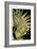 Rustic Tropical Leaves II-Ethan Harper-Framed Art Print