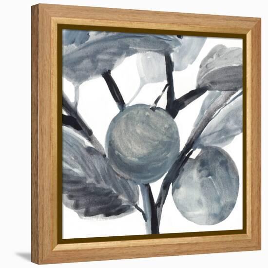 Rustic Vine I-Annie Warren-Framed Stretched Canvas