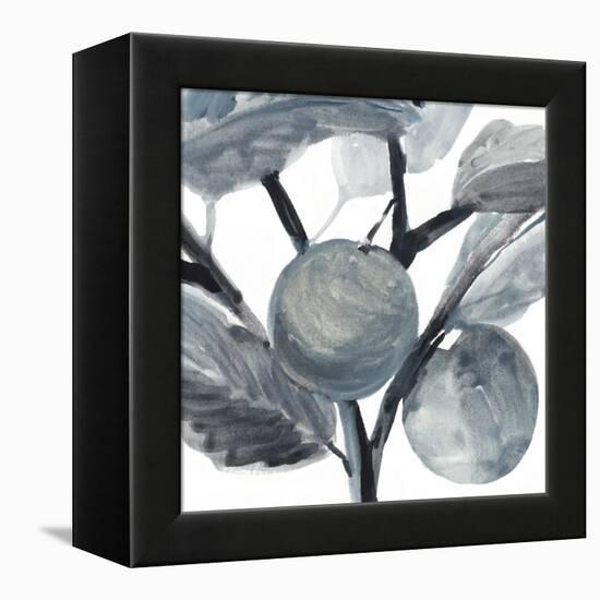 Rustic Vine I-Annie Warren-Framed Stretched Canvas