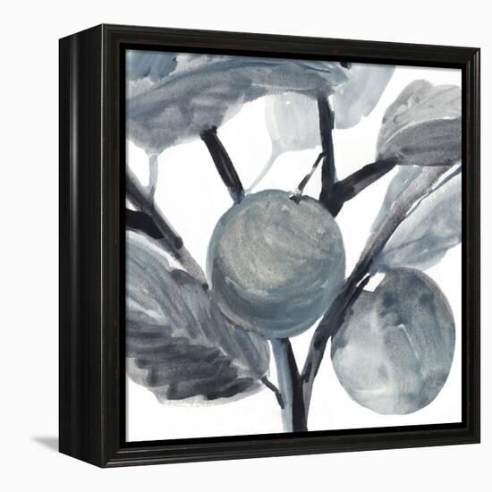 Rustic Vine I-Annie Warren-Framed Stretched Canvas