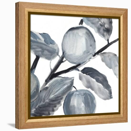 Rustic Vine II-Annie Warren-Framed Stretched Canvas