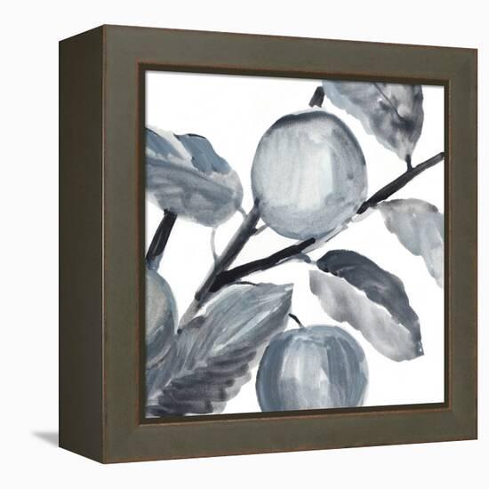 Rustic Vine II-Annie Warren-Framed Stretched Canvas