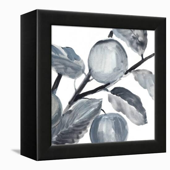 Rustic Vine II-Annie Warren-Framed Stretched Canvas