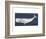 Rustic Whale-Sparx Studio-Framed Art Print