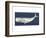 Rustic Whale-Sparx Studio-Framed Art Print