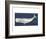 Rustic Whale-Sparx Studio-Framed Art Print