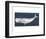 Rustic Whale-Sparx Studio-Framed Art Print