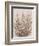 Rustic Wildflowers II-Tim OToole-Framed Premium Giclee Print