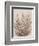 Rustic Wildflowers II-Tim OToole-Framed Premium Giclee Print