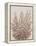 Rustic Wildflowers II-Tim OToole-Framed Stretched Canvas