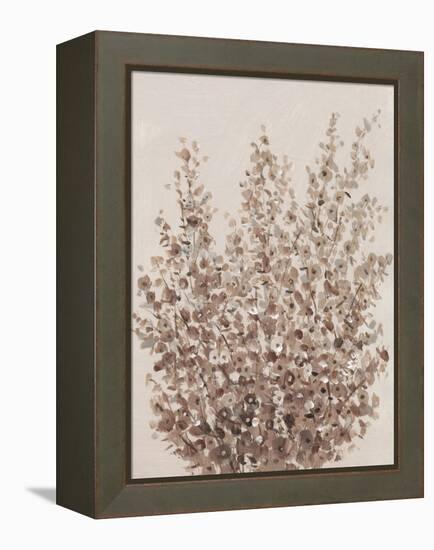 Rustic Wildflowers II-Tim OToole-Framed Stretched Canvas