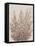 Rustic Wildflowers II-Tim OToole-Framed Stretched Canvas