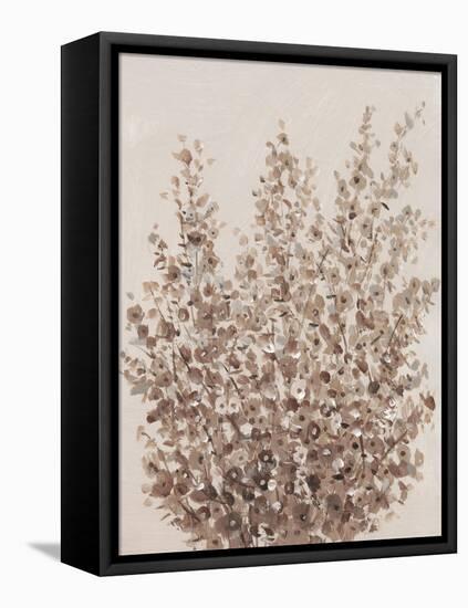 Rustic Wildflowers II-Tim OToole-Framed Stretched Canvas
