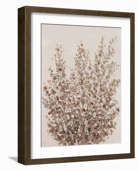 Rustic Wildflowers II-Tim OToole-Framed Art Print