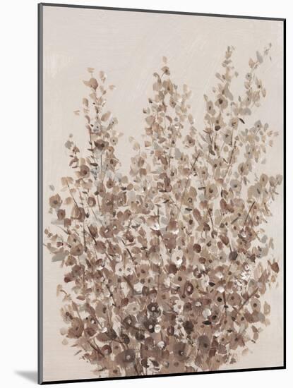 Rustic Wildflowers II-Tim OToole-Mounted Art Print