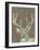 Rustic Wildlife I-Jennifer Goldberger-Framed Art Print