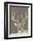 Rustic Wildlife I-Jennifer Goldberger-Framed Premium Giclee Print