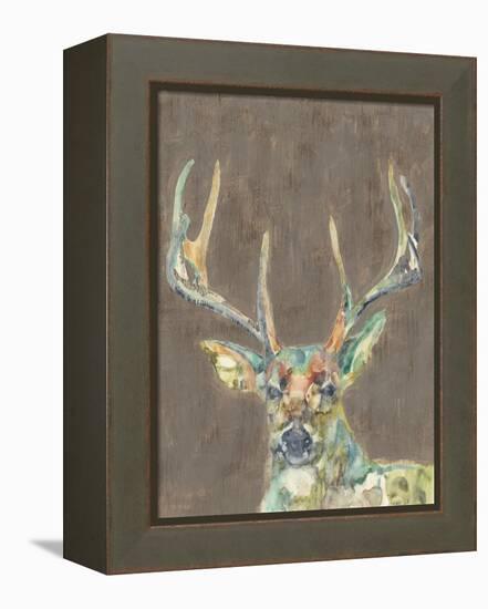 Rustic Wildlife I-Jennifer Goldberger-Framed Stretched Canvas