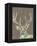 Rustic Wildlife I-Jennifer Goldberger-Framed Stretched Canvas