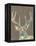 Rustic Wildlife I-Jennifer Goldberger-Framed Stretched Canvas