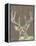 Rustic Wildlife I-Jennifer Goldberger-Framed Stretched Canvas