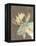 Rustic Wildlife IV-Jennifer Goldberger-Framed Stretched Canvas