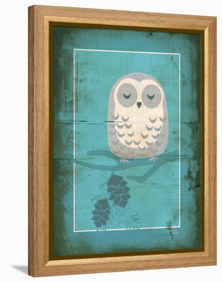 Rustic Woodland Owl-Teresa Woo-Framed Stretched Canvas