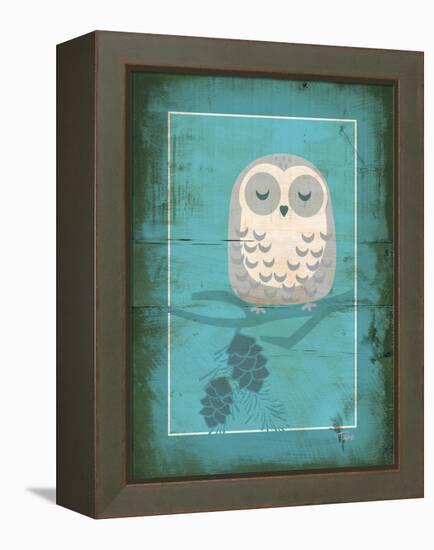 Rustic Woodland Owl-Teresa Woo-Framed Stretched Canvas