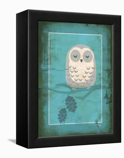 Rustic Woodland Owl-Teresa Woo-Framed Stretched Canvas