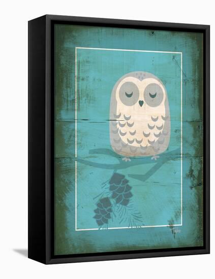 Rustic Woodland Owl-Teresa Woo-Framed Stretched Canvas