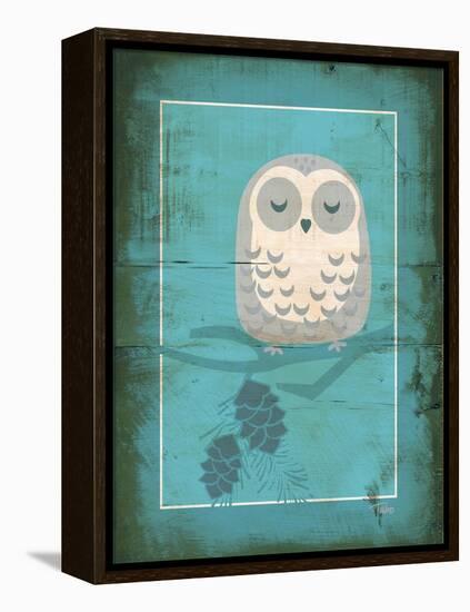 Rustic Woodland Owl-Teresa Woo-Framed Stretched Canvas