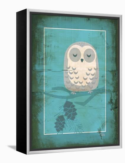 Rustic Woodland Owl-Teresa Woo-Framed Stretched Canvas