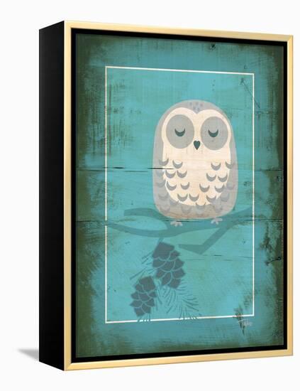 Rustic Woodland Owl-Teresa Woo-Framed Stretched Canvas