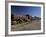 Rusting Locomotive at Train Graveyard, Uyuni, Bolivia, South America-Simon Montgomery-Framed Photographic Print