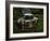 Rusty Auto I-PHBurchett-Framed Photographic Print