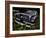 Rusty Auto II-PHBurchett-Framed Photographic Print