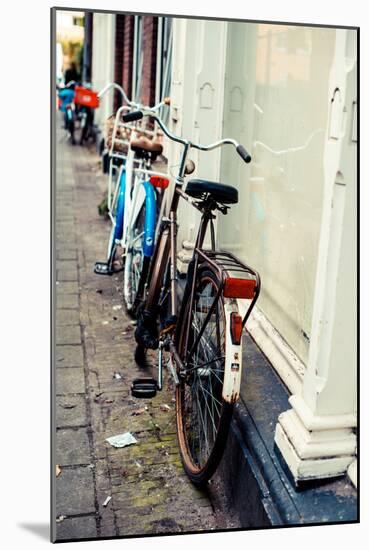 Rusty Bike-Erin Berzel-Mounted Photographic Print