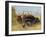 Rusty Car-Dianne Dengel-Framed Giclee Print