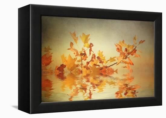 Rusty Fall Stripe-Philippe Sainte-Laudy-Framed Premier Image Canvas