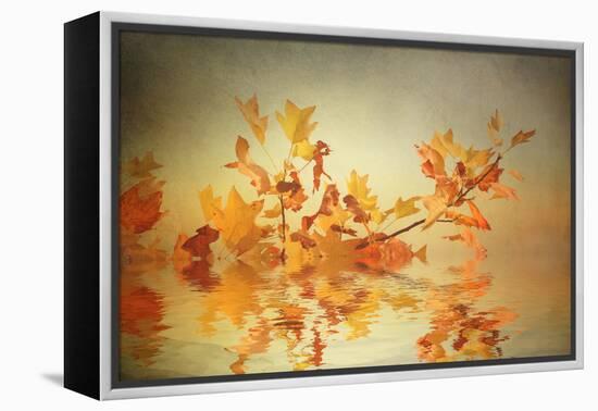 Rusty Fall Stripe-Philippe Sainte-Laudy-Framed Premier Image Canvas