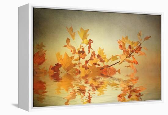 Rusty Fall Stripe-Philippe Sainte-Laudy-Framed Premier Image Canvas