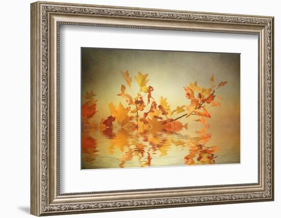 Rusty Fall Stripe-Philippe Sainte-Laudy-Framed Photographic Print